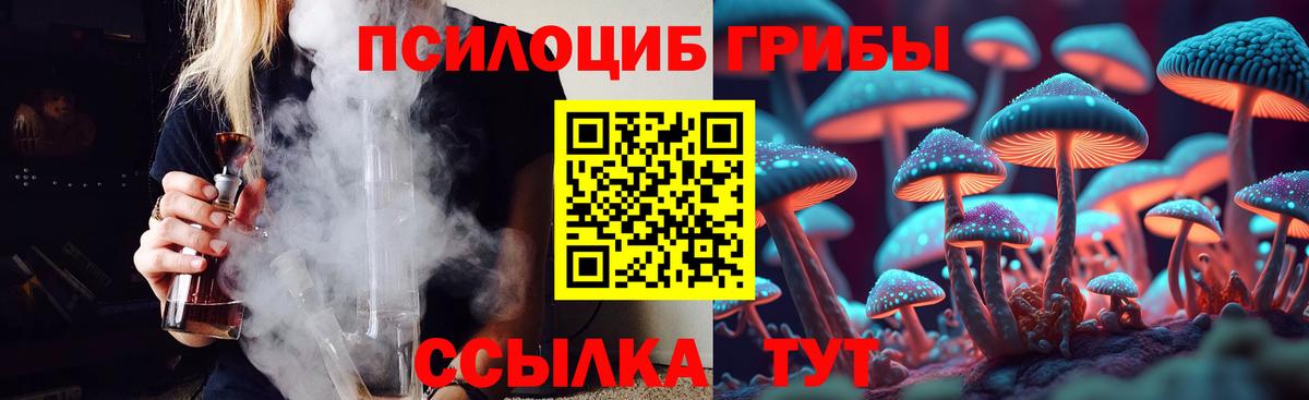 Касимов  Псилоцибиновые грибы Cubensis  Вход с VPN 